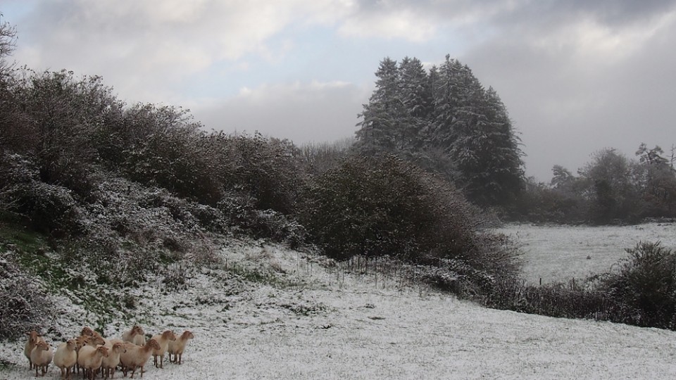 Larraun. Txomin Rezola