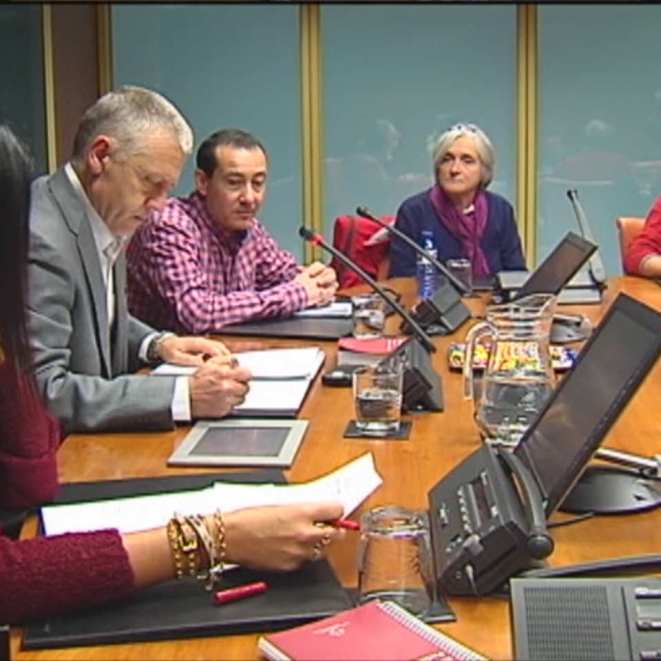 Representantes de la plataforma Ordaindu en la Comisión del Parlamento Vasco. Foto: EFE