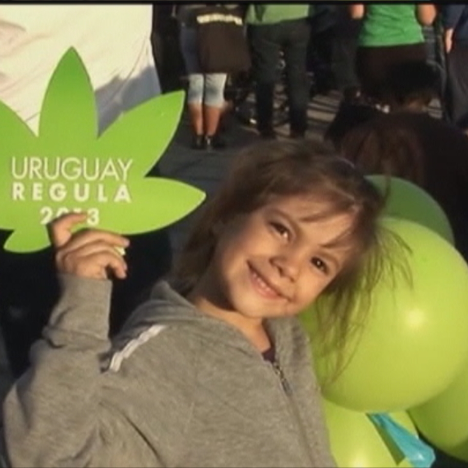 Legalización del cannabis en Uruguay.