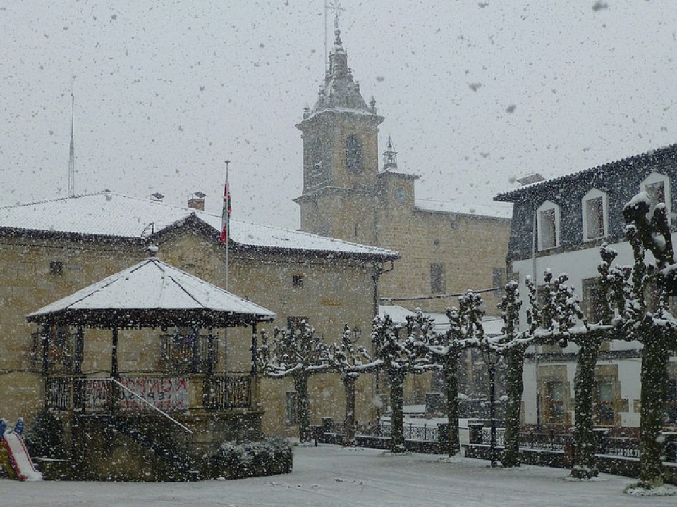 Araia. Argazkia: Aitor Lopez de Munain