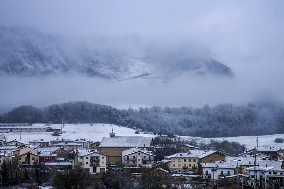 2014ko lehen elurtea Euskal Herrian