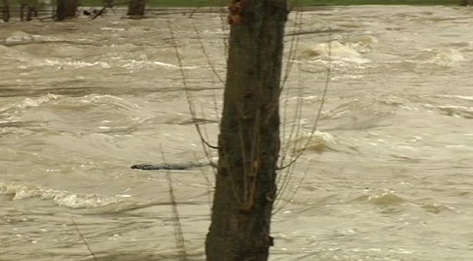 El río Arga, a su paso por Pamplona. Foto: EiTB