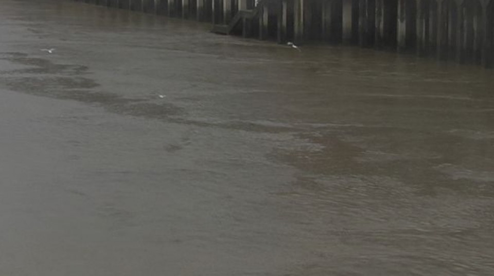 Ría de Bilbao. Foto: EiTB