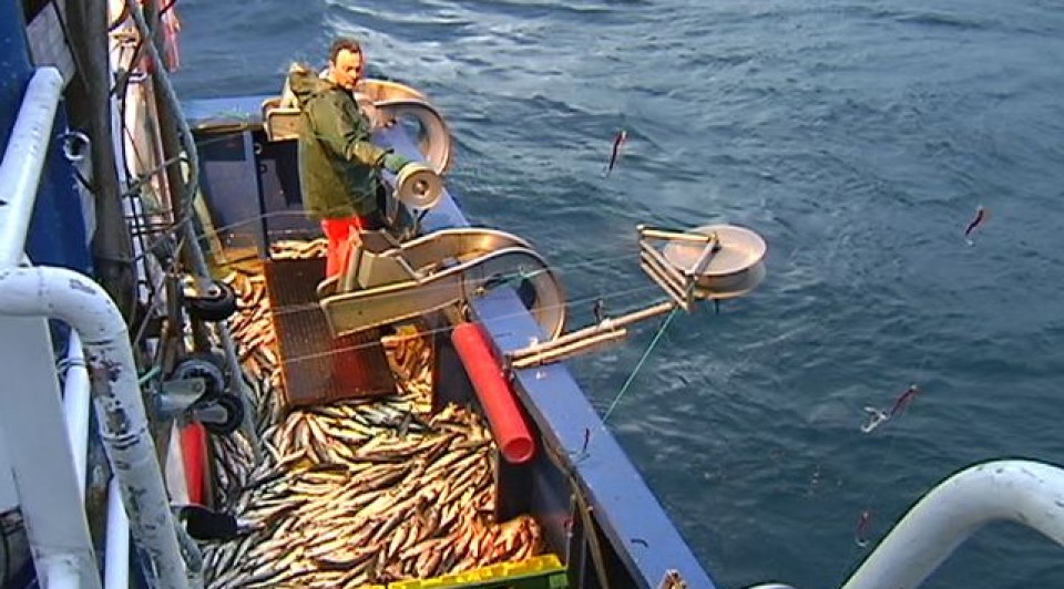 La Unión Europea representa la cuarta industria pesquera del mundo