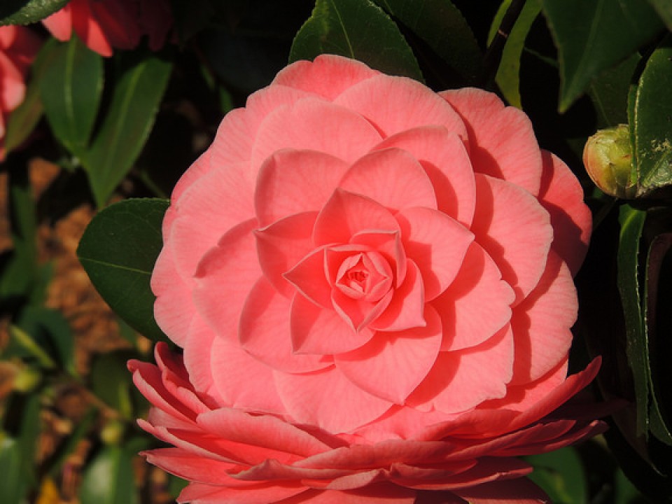 Argazkia: Eduardo Recalde