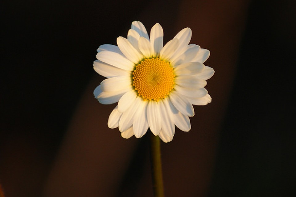 Barakaldo. Argazkia: Alberto Zorrilla