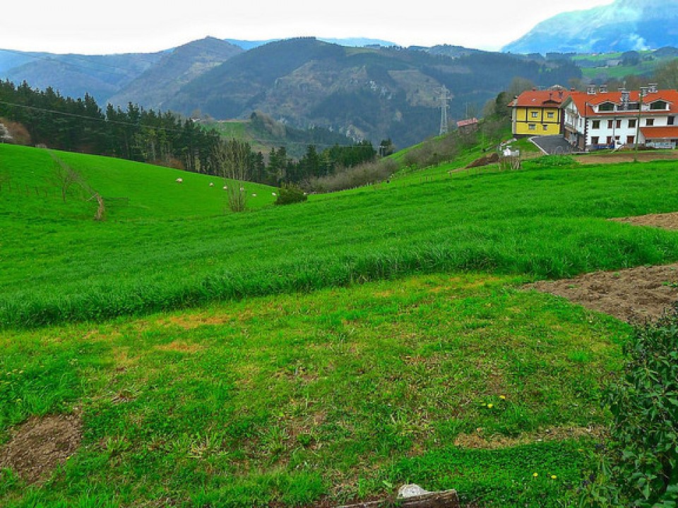 Zarautz. Argazkia: Lorentxo Portularrume