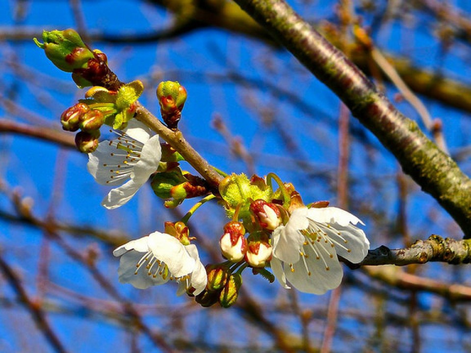 Zarautz. Argazkia: Lorentxo Portularrume