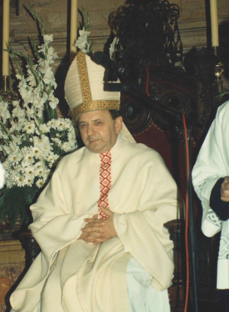 Zamorako gotzain izendatu zuten eguna, 1991