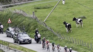 La 2ª etapa, en Zugarramurdi