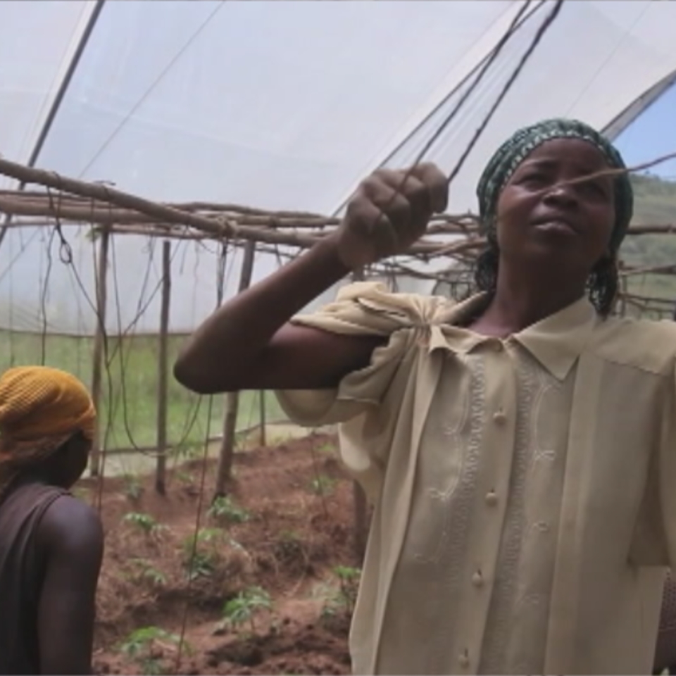 Mujeres ruandesas trabajando en el campo