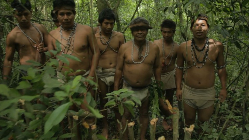 Misiones basoa, guaranien etxea.