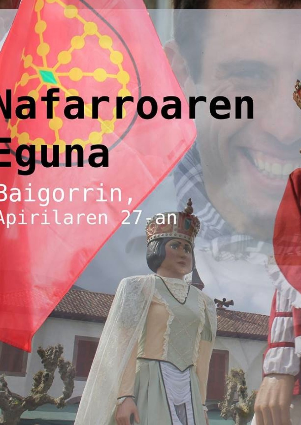 Nafarroaren eguna 2014