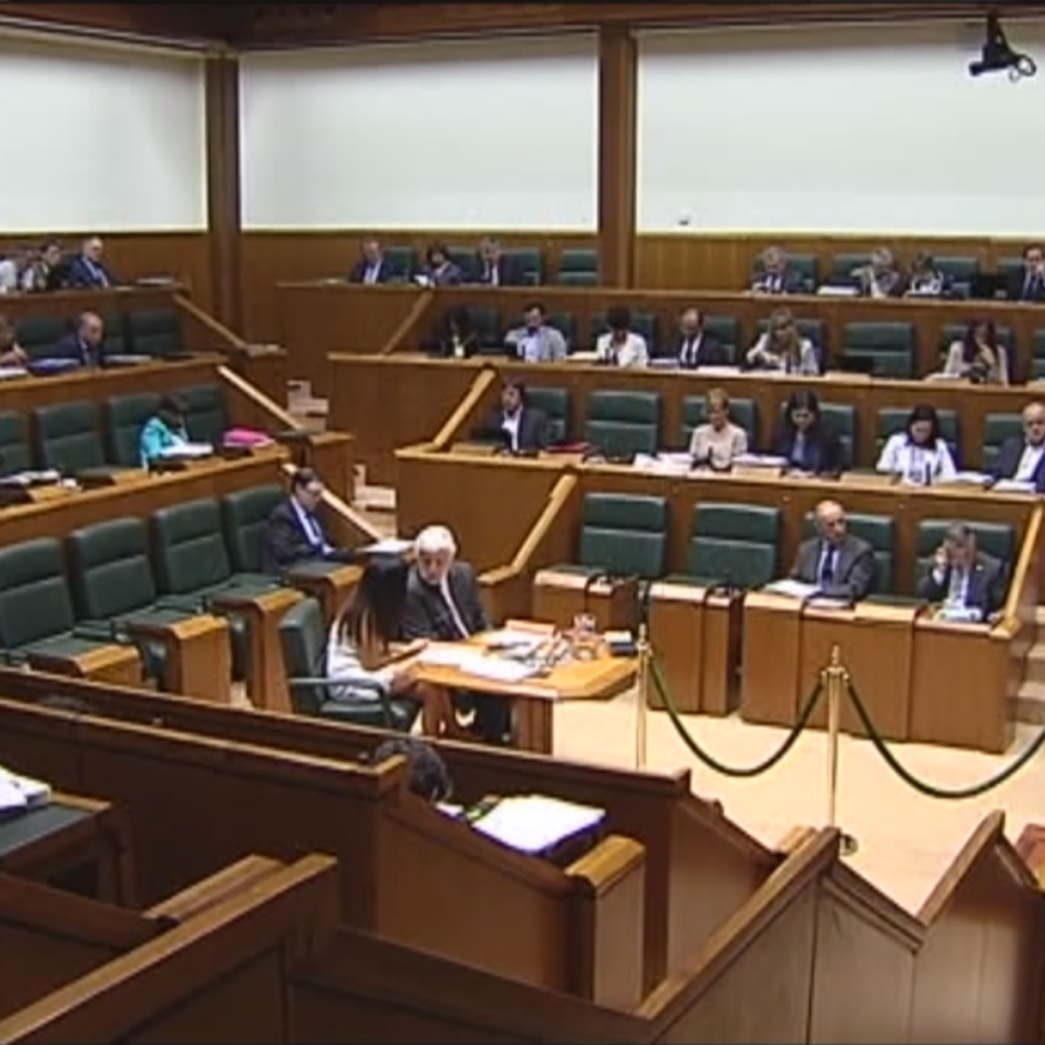 Parlamentarios de EH Bildu, en una sesión del Parlamento Vasco. Efe.