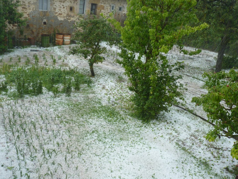 Txingor-zaparrada Araian. Argazkia: Valentin Yurre