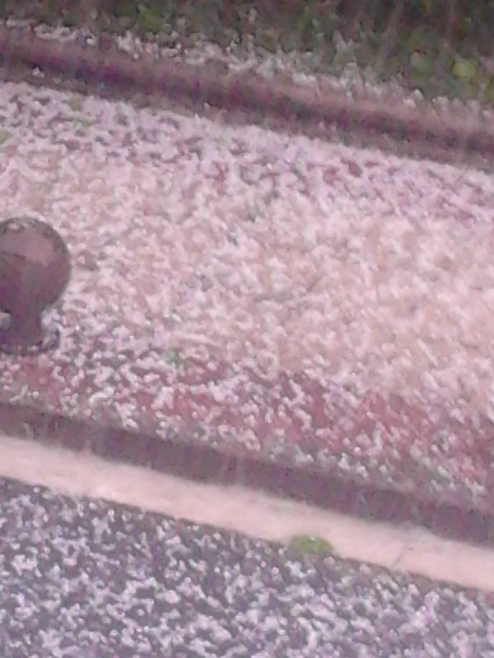 Txingor-zaparrada Agurainen. Argazkia: Edurne Mateos