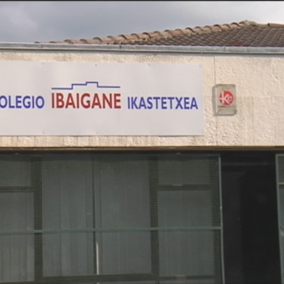 Ibaigane ikastetxea