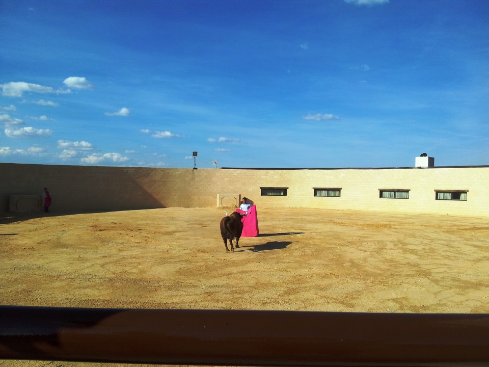 Ivan Fandiño toreando delante de un toro
