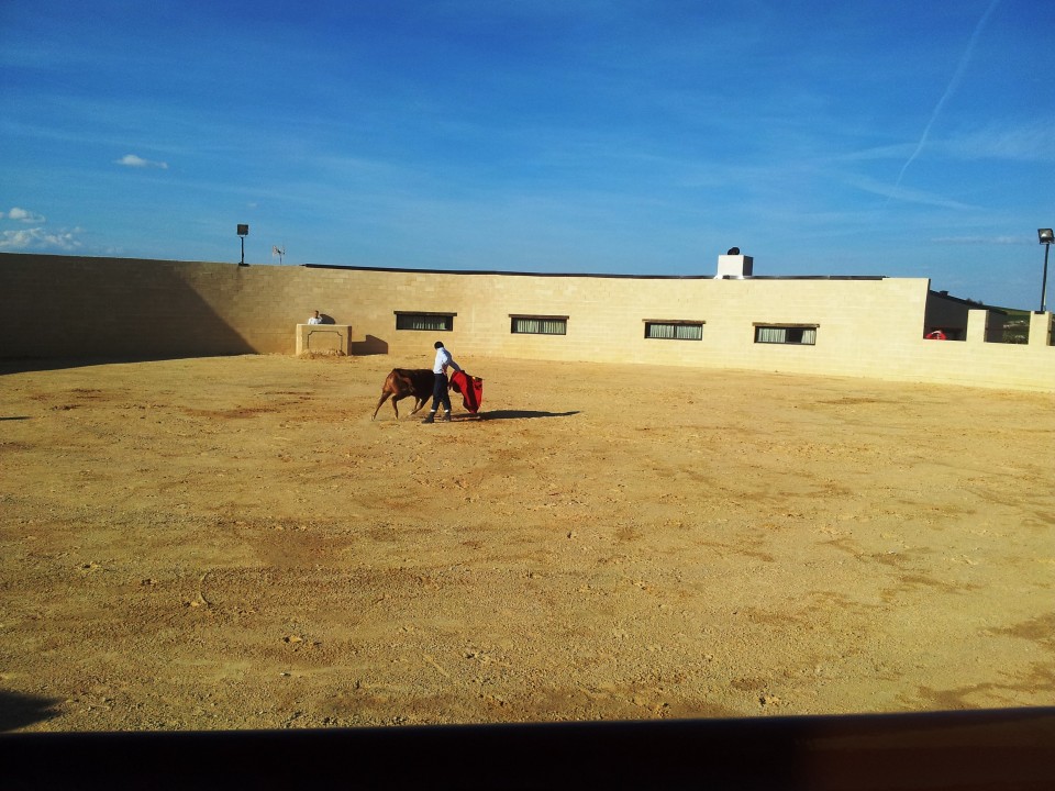 Ivan Fandiño toreando delante de un toro