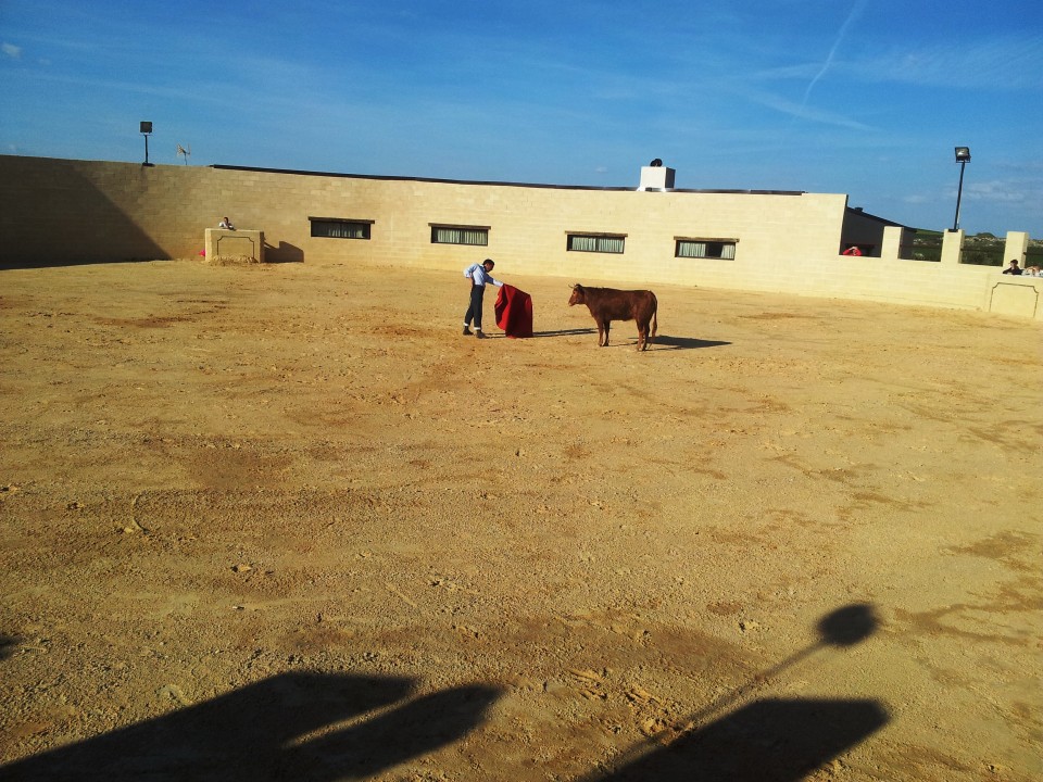 Ivan Fandiño toreando delante de un toro