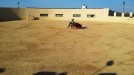 Ivan Fandiño toreando delante de un toro