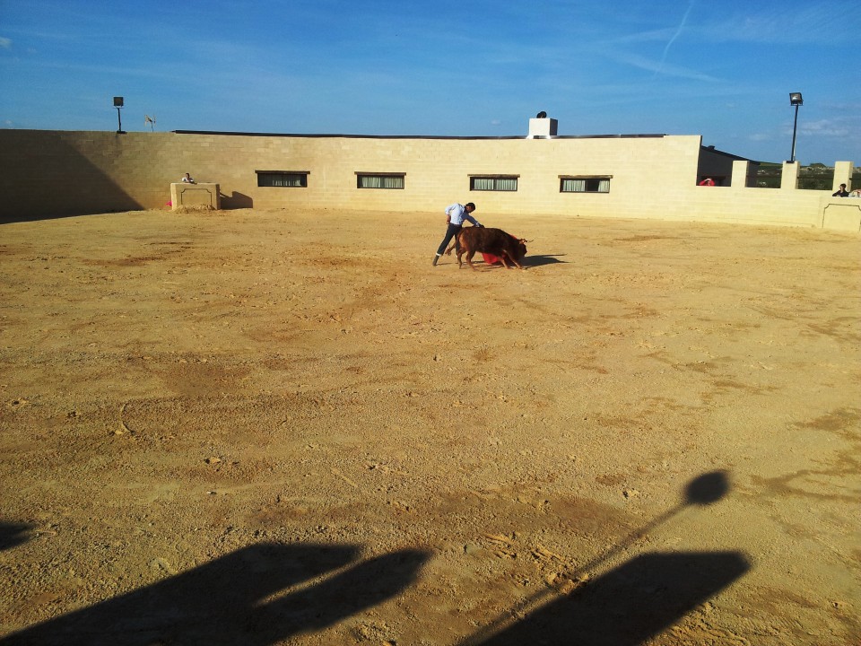 Ivan Fandiño toreando delante de un toro