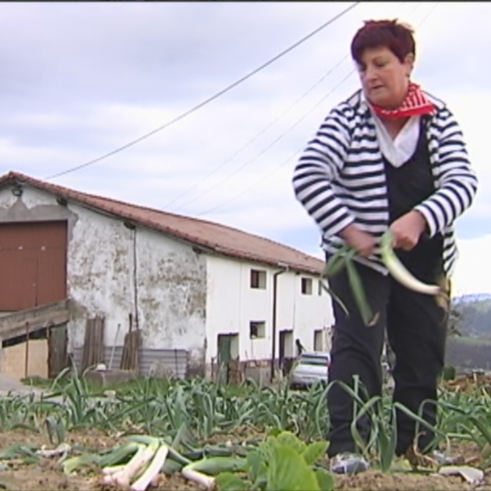 El Gobierno Vasco presenta el Estatuto de la Mujer Agricultora