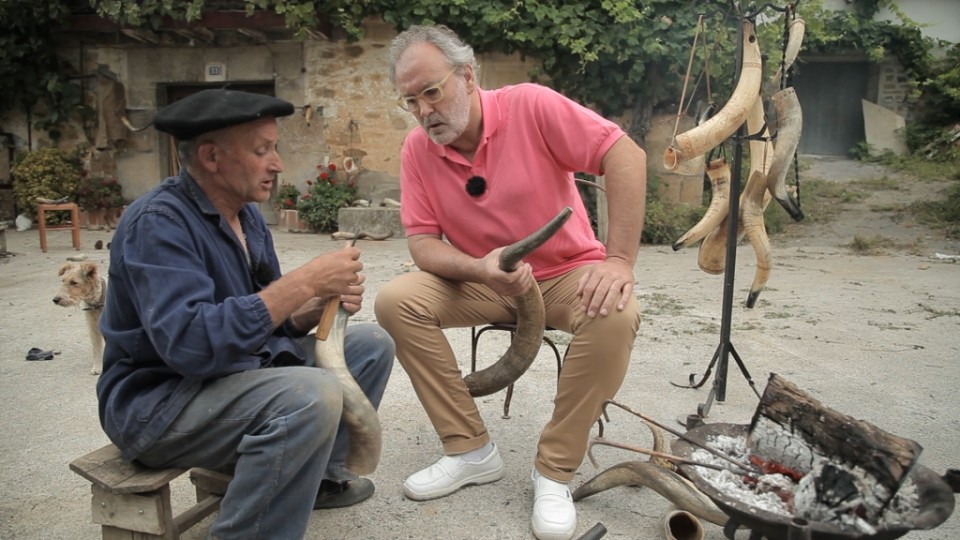 Adarrak ezagutzen Menagaraien