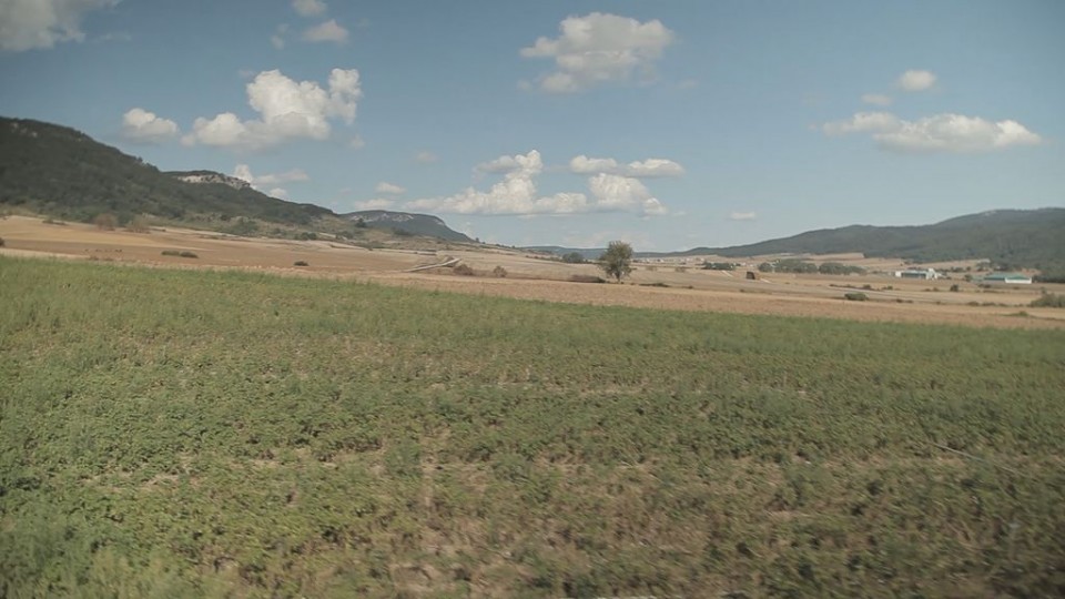 San Vicente de Arana.