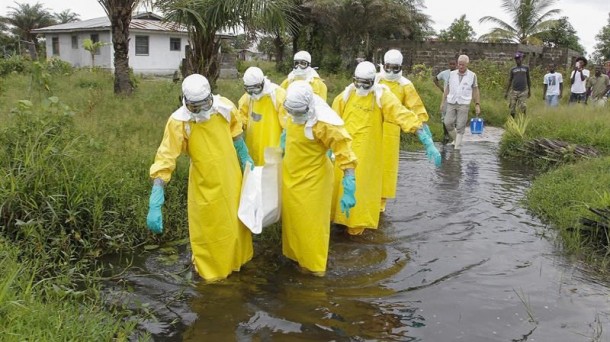 "Los anticuerpos del Ébola son como los unicornios: pocos y resistentes" 