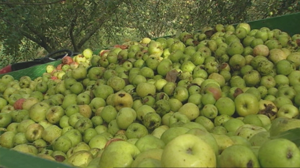 Medicina predictiva , visión holística del enfermo