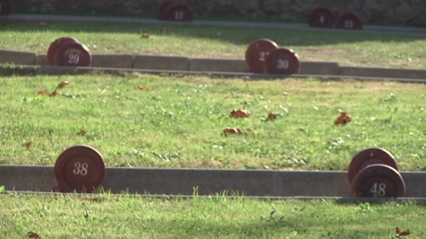 ¿Quiénes eran los resurreccionistas?