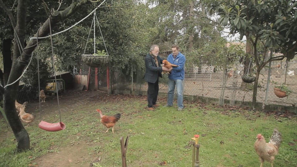 Ramon kapoia aukeratzen