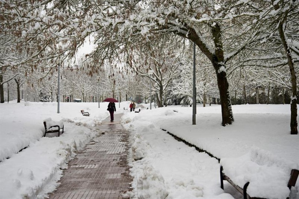Gasteiz (2015/02/05). Argazkia: EFE