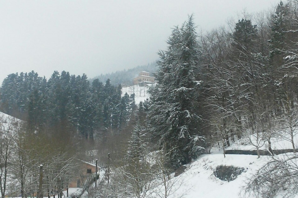 Urretxu (2015/02/06). Argazkia: EITB