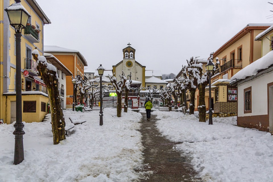 La Arboleda zurituta. Irudia: Jesus Maria Tortajada (2015/02/07)