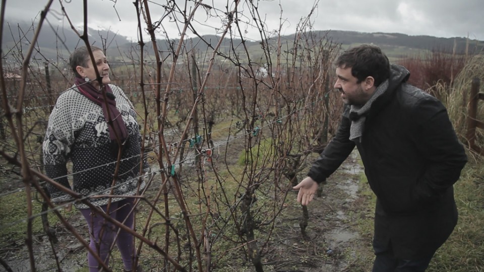 Ander, entre viñedos de txakoli en Orduña.