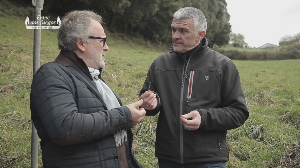 Josebak belar iodatua erakutsi digu Bermeon