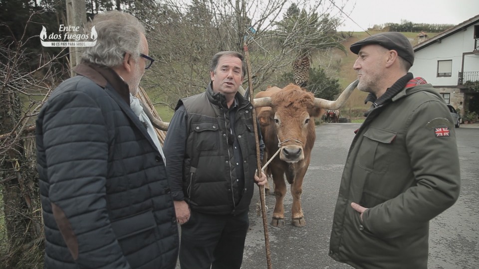 'Exodus' filmeko idiak bermeokoak ziren