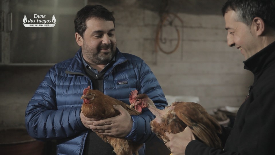 Laudioko oilo autoktonoa