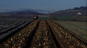 La lluvia retrasa la recogida de la patata en Álava