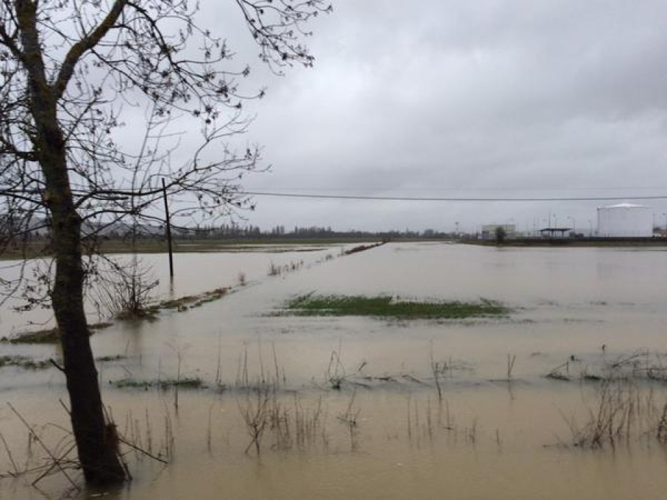 Sigue lloviendo, 25.02,2015