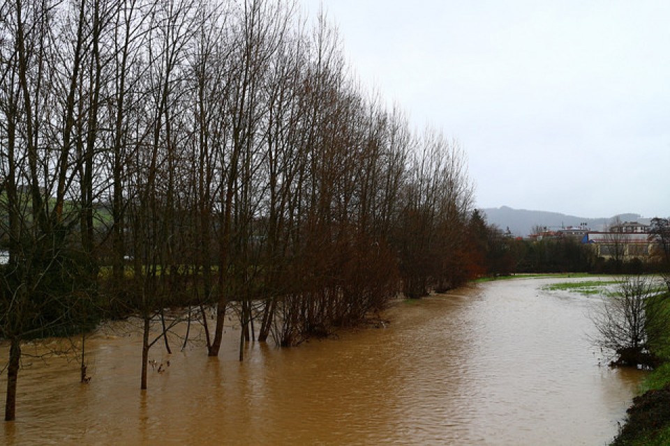 Ispaster. Argazkia: Txaro Ortiz de Zarate