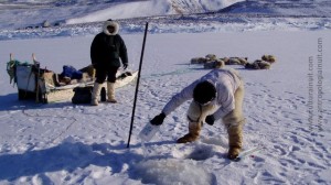 Con los Inuit, cazadores del Gran Norte