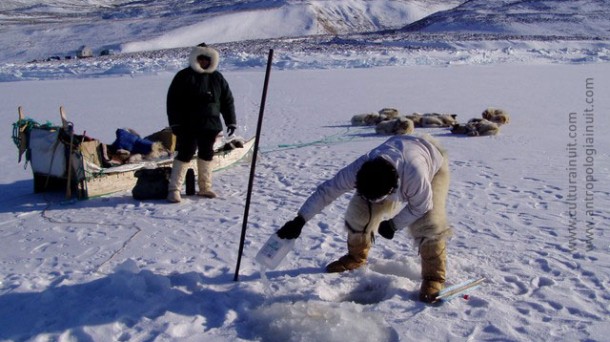 Con los Inuit, cazadores del Gran Norte