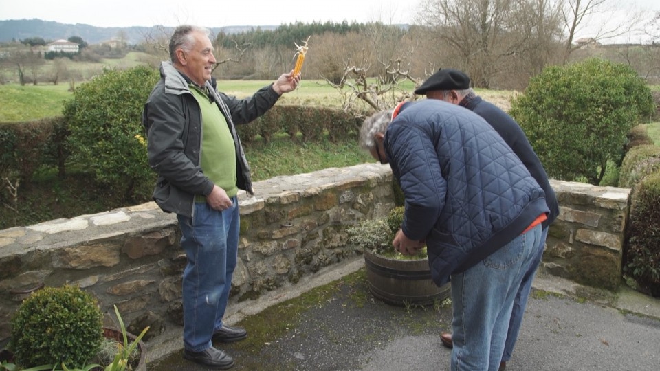 Reverencia a la mazorca autentica de mungia