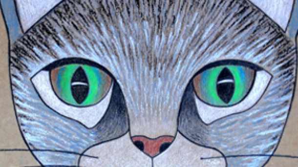 Pertsonak ala animaliak? Erantzuna iruditan Idoia Aizkorretak