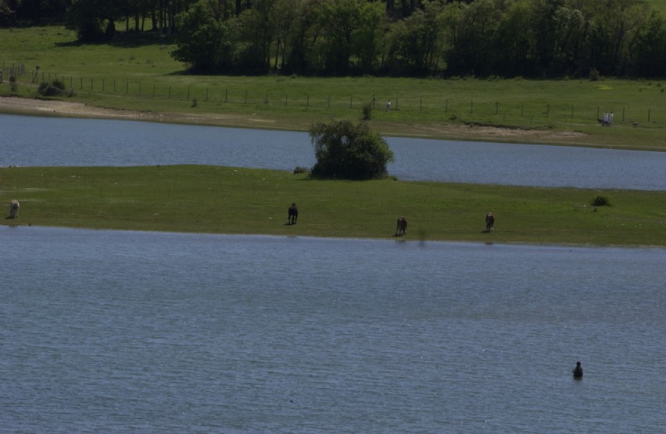 Pantano de Landa