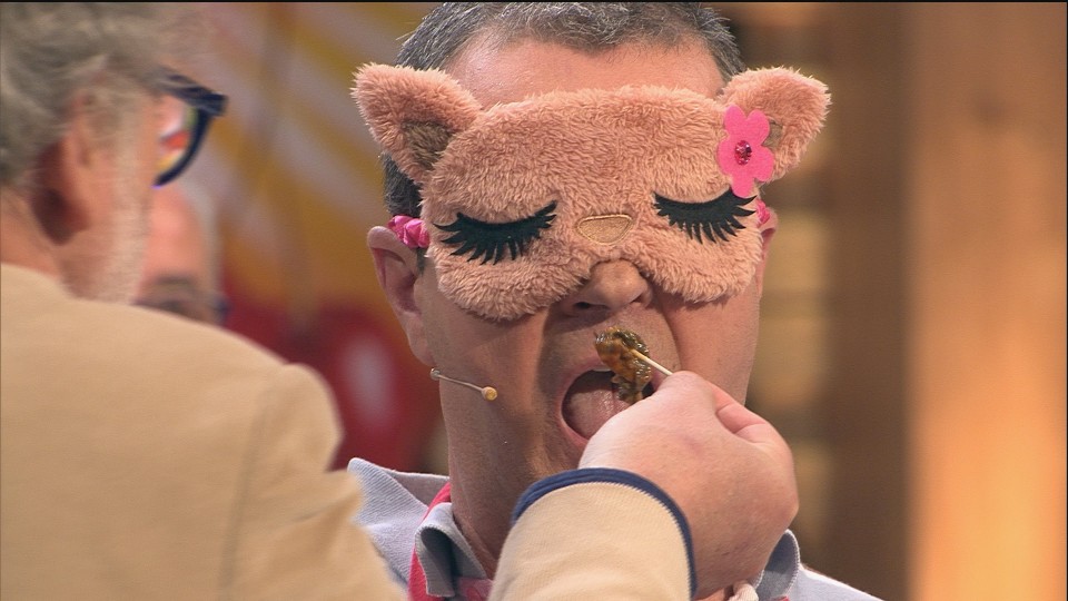 Guardiakoen dastaketa