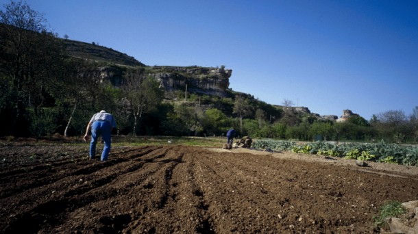La agroecología una alternativa para iniciar una actividad agraria
